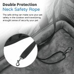 Expandable Airline-Approved Pet Carrier with Mesh Ventilation