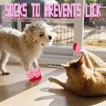 Anti-Slip Dog Socks - 2 Pairs Paw Protectors