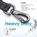 Iokheira Adjustable Bungee Dog Leash with Padded Handles