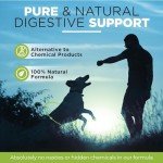 Twin Pack Natural Dewormer for Dogs & Cats