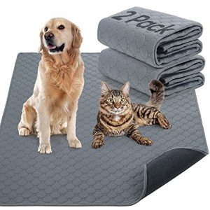 Washable Dog Training Pads - 2 Pack