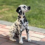 Soft Velvet Dog Collar with Safety Metal Buckle