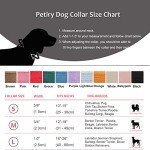 Soft Velvet Dog Collar with Safety Metal Buckle