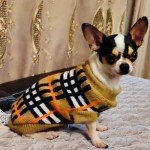 Warm Plaid Sweater for Small Dogs and Cats