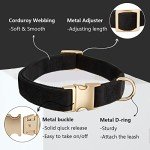 Soft Velvet Dog Collar with Safety Metal Buckle