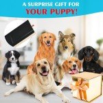 KIKIGOAL Wooden Dog Nail File with Snack Box