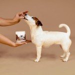 NutriPaw Natural Flea and Tick Chews for Dogs