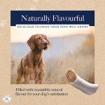 Venison-Filled Dog Bone Chew for Adult Dogs