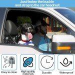 Deilonie Black Dog Car Seat Cover Protector