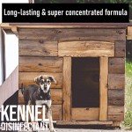 Ultima-Plus XP Lemon Scent Kennel Cleaner 5L