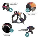 Embark No Pull Urban Dog Harness with Leash Clips