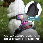 Embark No Pull Urban Dog Harness with Leash Clips