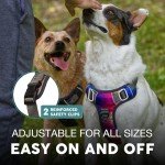 Embark No Pull Urban Dog Harness with Leash Clips