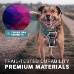 Embark No Pull Urban Dog Harness with Leash Clips