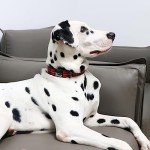 Adjustable Soft Plaid Dog Collar for All Sizes