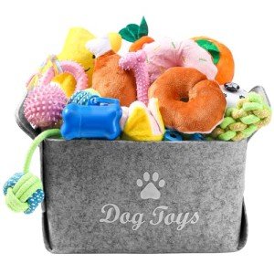 22-Pack Puppy Toy Set with Squeaky Toys