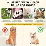 22-Pack Puppy Toy Set with Squeaky Toys