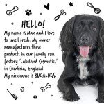 Deshedding Shampoo for Dogs by Bugalugs