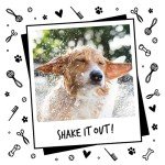 Deshedding Shampoo for Dogs by Bugalugs