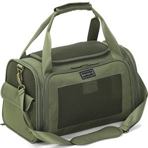 Petsfit Airline Approved Soft Dog Carrier - Green