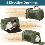 Petsfit Airline Approved Soft Dog Carrier - Green