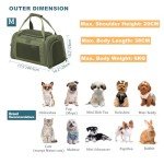 Petsfit Airline Approved Soft Dog Carrier - Green