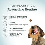 Dog Skin Relief Chews - One-a-Day Supplement