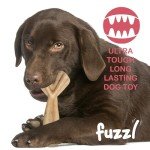 Fuzzl Tough Beef Infused Wishbone Dog Chew Toy