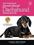 Miniature Smooth Dachshund Training & Care Guide