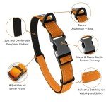Adjustable Reflective Collar for Medium Dogs - Orange
