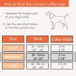 Adjustable Reflective Collar for Medium Dogs - Orange