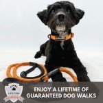 Adjustable Reflective Collar for Medium Dogs - Orange
