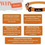 Adjustable Reflective Collar for Medium Dogs - Orange
