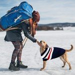 Cozy Knitted Turtleneck Sweater for Medium Dogs