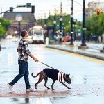 Cozy Knitted Turtleneck Sweater for Medium Dogs