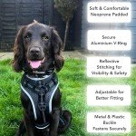 Adjustable Reflective Collar for Medium Dogs - Orange