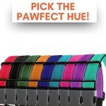 Adjustable Reflective Collar for Medium Dogs - Orange
