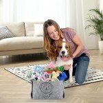 24-Pack Puppy Toy Set with Storage Box