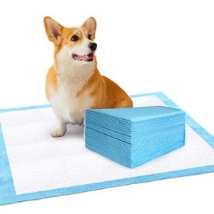 Puppy Training Pads 100-Pack, Super Absorbent