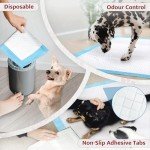 Puppy Training Pads 100-Pack, Super Absorbent