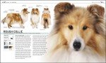 Find Your Perfect Dog: The Complete Breed Book