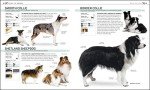 Find Your Perfect Dog: The Complete Breed Book