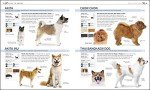 Find Your Perfect Dog: The Complete Breed Book