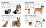 Find Your Perfect Dog: The Complete Breed Book