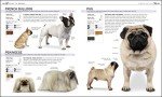 Find Your Perfect Dog: The Complete Breed Book