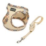 DORAMIO Soft Mesh Dog Harness and Leash Set