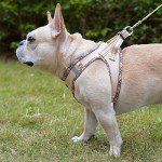 DORAMIO Soft Mesh Dog Harness and Leash Set