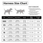 DORAMIO Soft Mesh Dog Harness and Leash Set