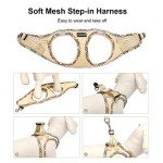 DORAMIO Soft Mesh Dog Harness and Leash Set