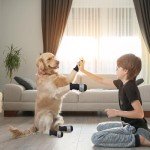 LUVDECO Anti-Slip Dog Socks with Adjustable Straps